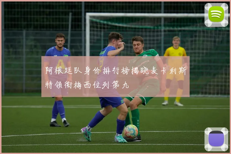 阿根廷队身价排行榜揭晓麦卡利斯特领衔梅西位列第九