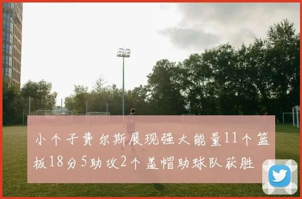 小个子费尔斯展现强大能量11个篮板18分5助攻2个盖帽助球队获胜