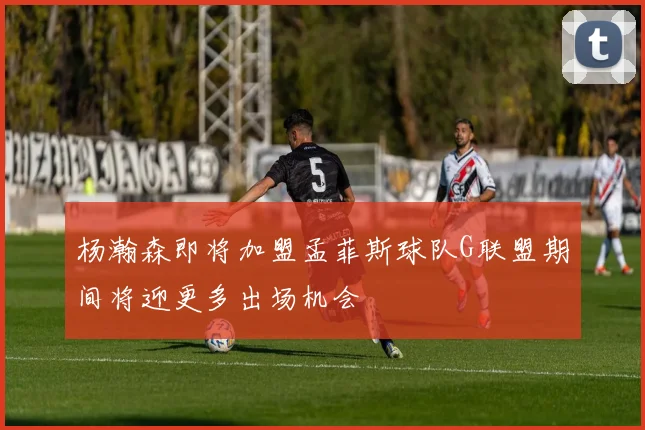 杨瀚森即将加盟孟菲斯球队G联盟期间将迎更多出场机会
